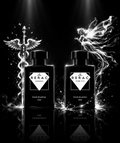 Two black RERAC Pure XL perfume bottles displayed side by side on a glossy black surface with dramatic white spotlights and glowing abstract wing-like effects on a black background.